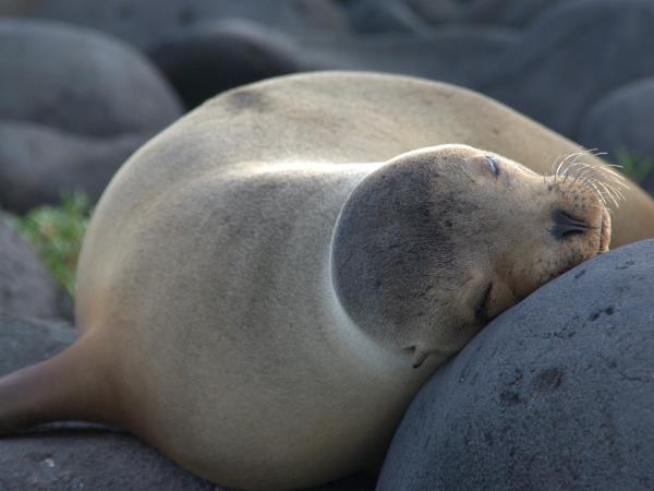Galapagos adventure vacation