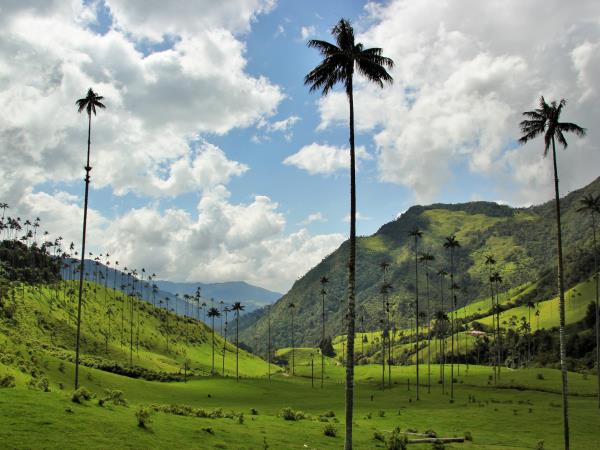 Colombia tailormade vacation