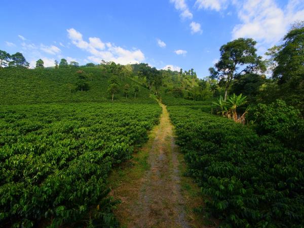 Colombia tailormade vacation