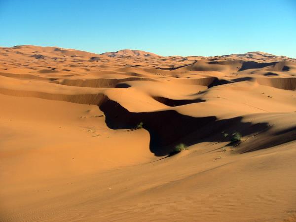 Painting vacation in Moroccan desert