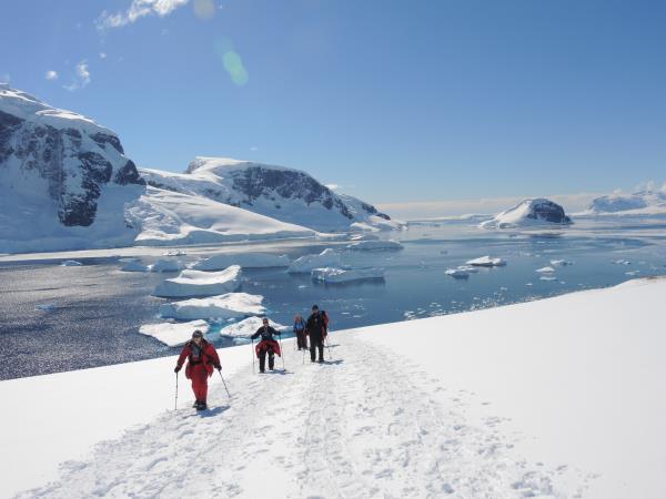 Antarctic Peninsula cruises, activity-based
