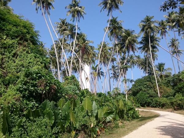 Sri Lanka sketching and painting vacation