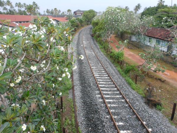 Sri Lanka sketching and painting vacation