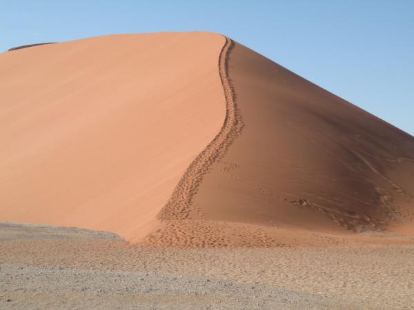 Namibia safari and vacation