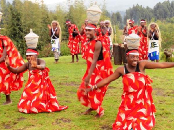 3 day Rwanda gorilla safari
