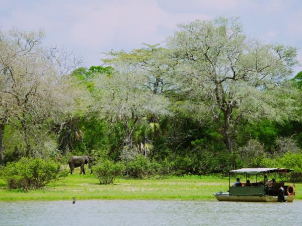 Selous safari and beach holiday in Tanzania
