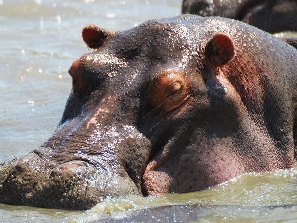 Tanzania highlights holiday