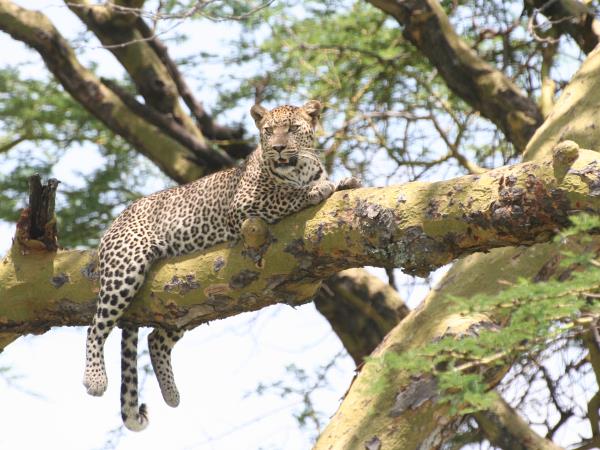 Tanzania highlights holiday