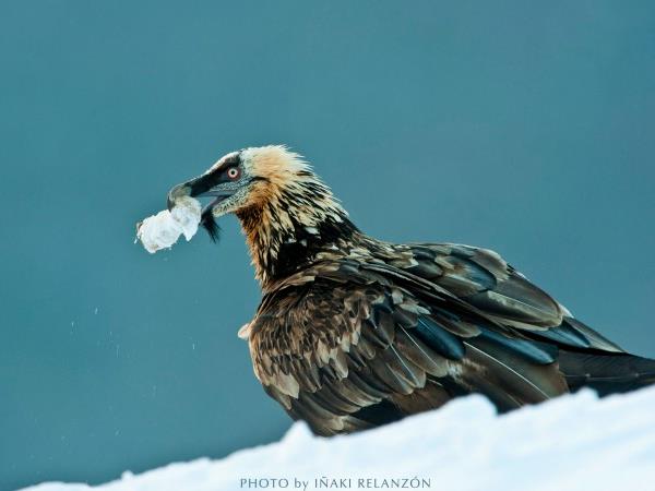 Photography vacation in the Spanish Pyrenees
