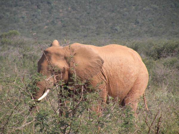 self-drive trip into Limpopo, South Africa