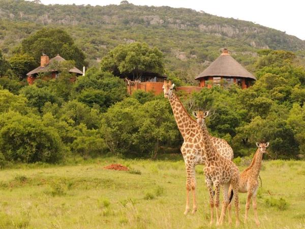 self-drive trip into Limpopo, South Africa