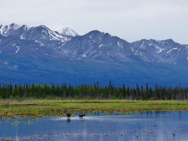 Calgary to Anchorage adventure vacation, Goldrush Trail