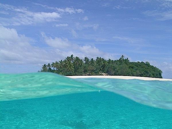 Swim with humpback whales in Tonga