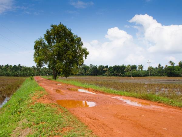 Kerala backwater vacation, India