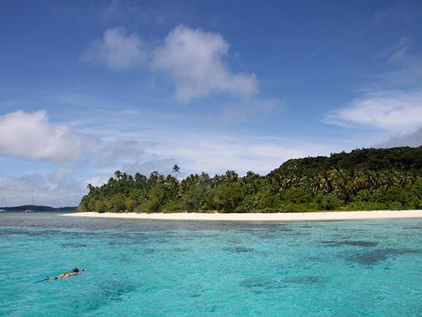 Swim with humpback whales, Tonga