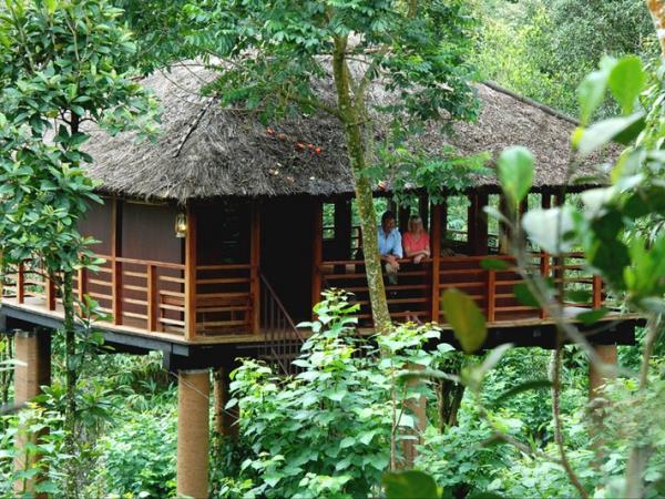 Kerala tailor made vacation, 11 days 