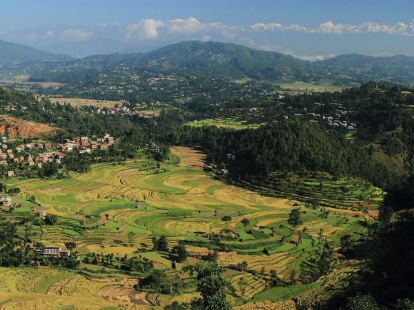 Nepal trek with Chitwan National Park safari