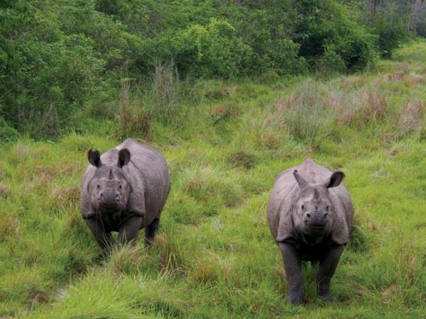 Nepal trek with Chitwan National Park safari