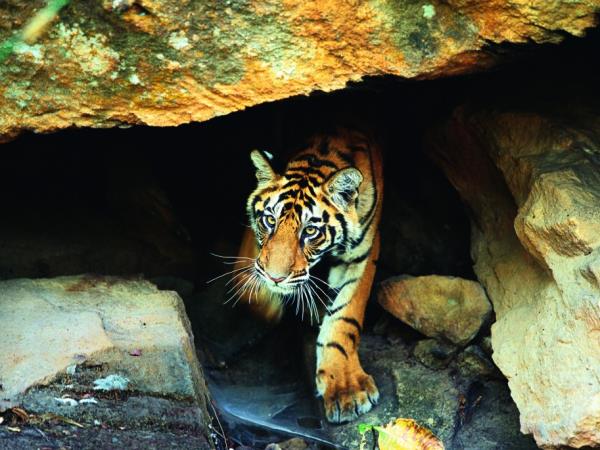 North and South India grand tour, 30 days