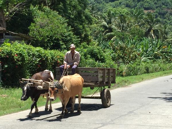 Cuba cultural vacations, 15 days 