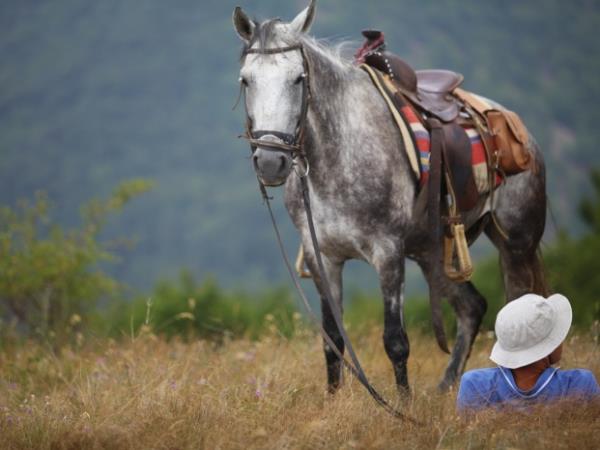 Bulgaria horse riding vacation
