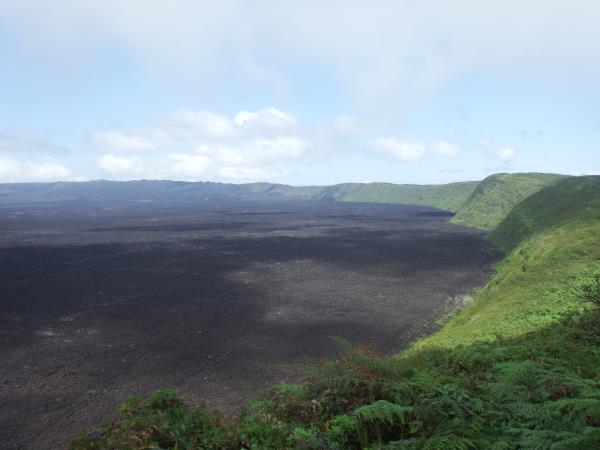 Galapagos cruises