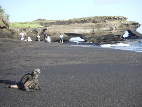 Galapagos cruises