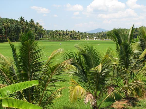 Rural cycling tours in South India