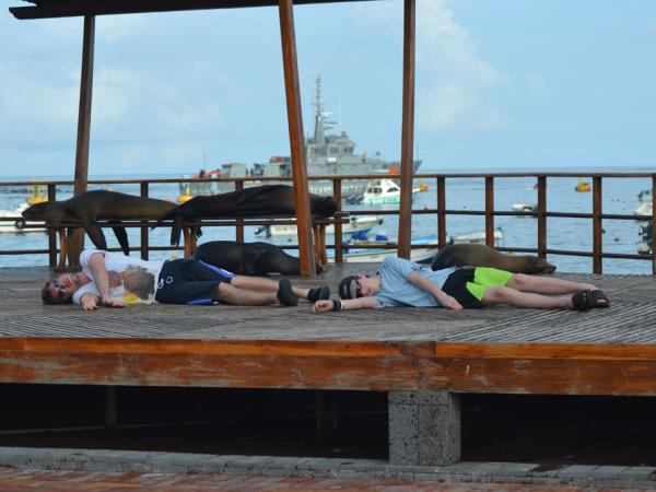 Galapagos family vacation, hotel based