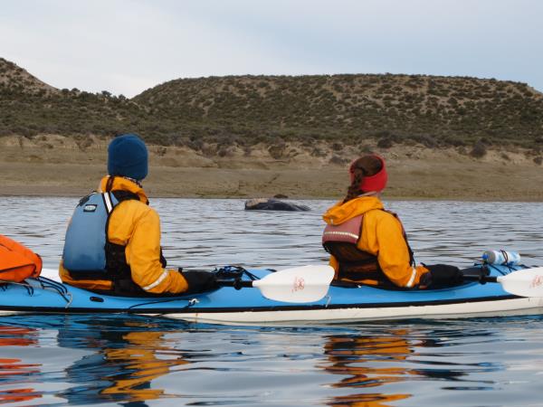 Sea kayaking in Patagonia, Chile