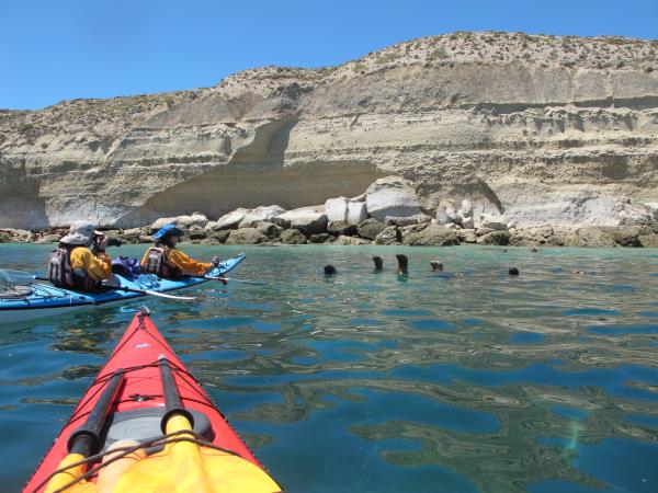 Sea kayaking in Patagonia, Chile