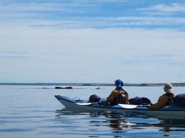 Sea kayaking in Patagonia, Chile