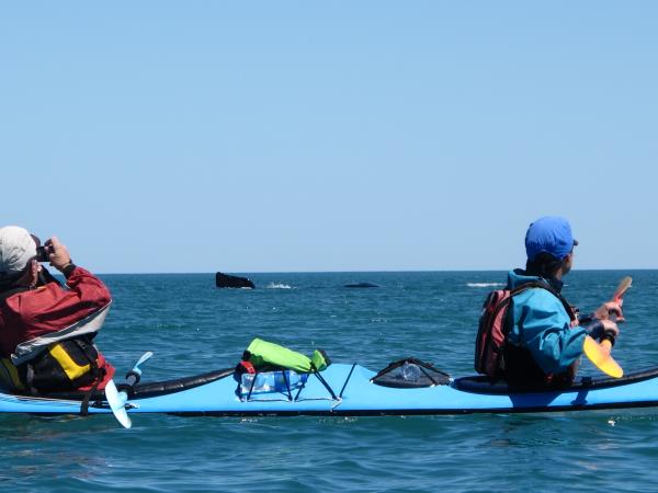 Sea kayaking in Patagonia, Chile