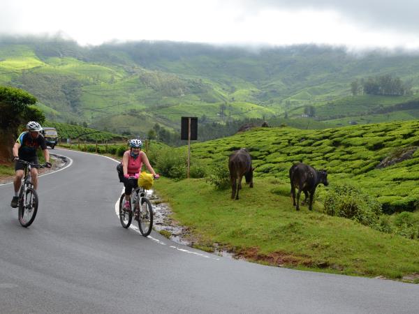 Cycling vacations in Kerala