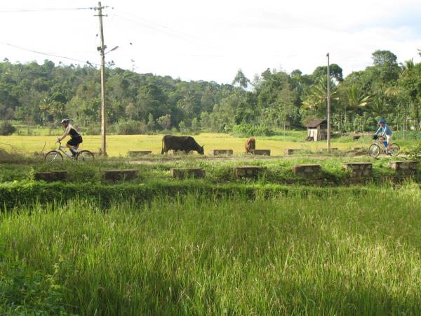 Cycling vacations in Kerala