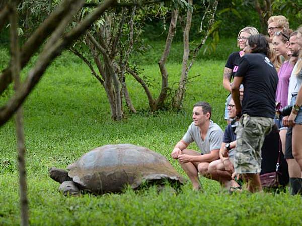 Galapagos cruise options, tailor made