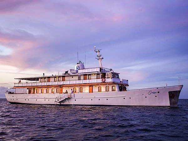 Galapagos cruise options, tailor made