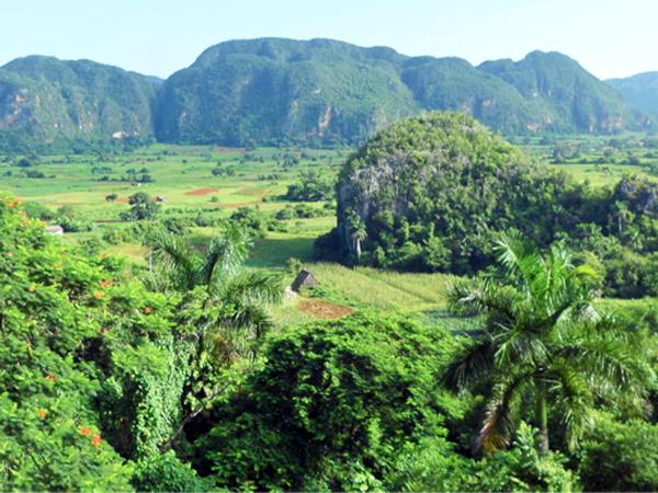 Small group tour to Western Cuba