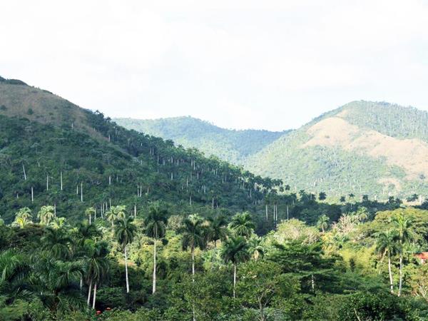 Small group tour to Western Cuba