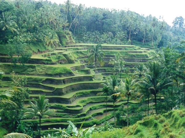 Tailor made vacation in Bali, Off the beaten track