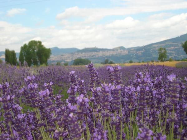 Umbria self guided hiking vacation, Italy