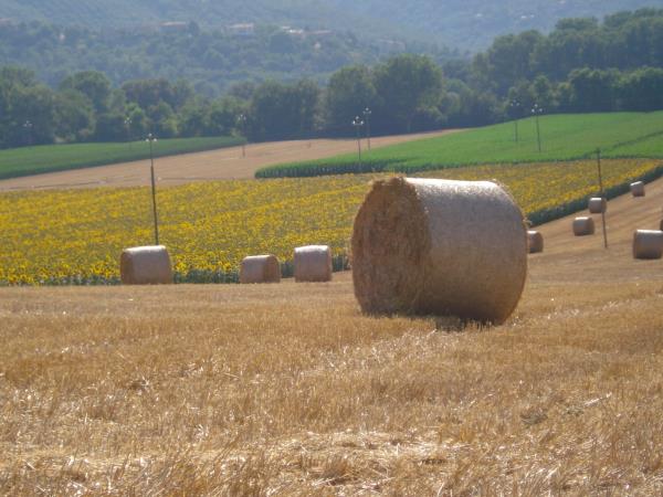 Umbria self guided hiking vacation, Italy
