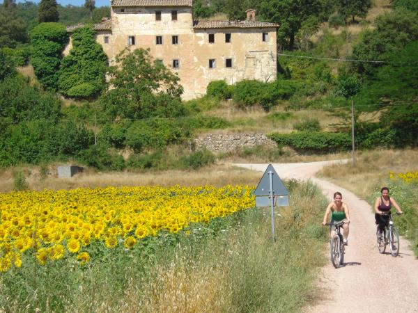 Umbria self guided biking holiday, Italy