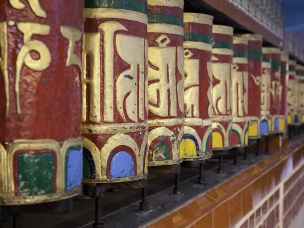 North India vacation, cultural immersion and the himalayas