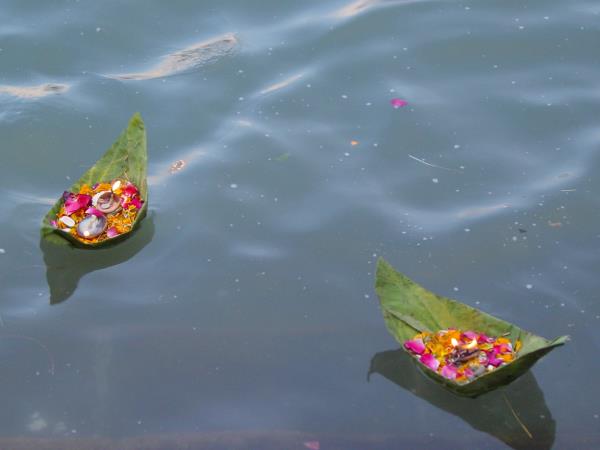 North India vacation, cultural immersion and the himalayas