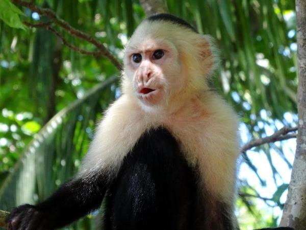 Costa Rica and Nicaragua self drive vacation