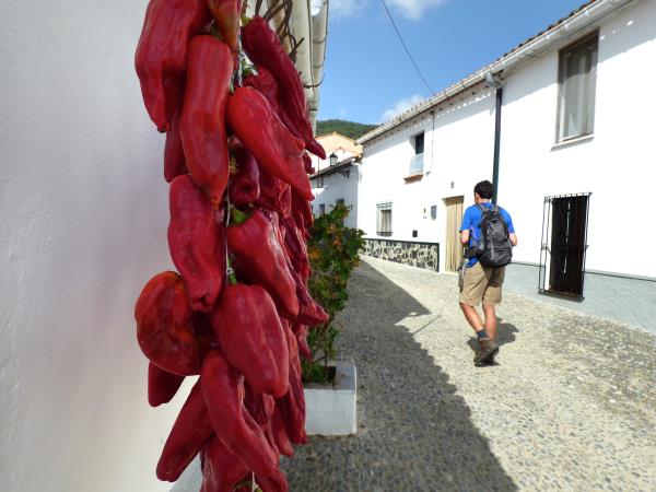 Aracena Hills walking vacation in Andalucia, Spain