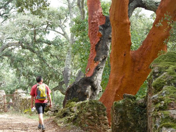 Aracena Hills walking vacation in Andalucia, Spain