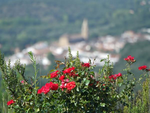 Aracena Hills walking vacation in Andalucia, Spain