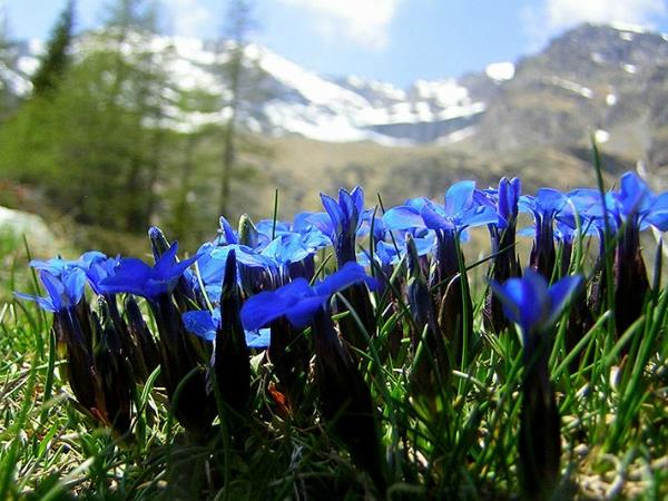 Spanish Pyrenees self guided hiking vacation